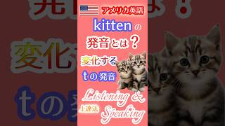 アメリカ英語のkittenの発音とは❓変化するｔの発音を習得！ 英会話 tの発音 kitten 子猫は英語で何て言う❓ [upl. by Weywadt]