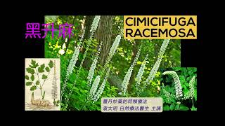 《靈丹妙藥的同類療法》 EP235  黑升麻 Cimicifuga Racemosa [upl. by Adamec]