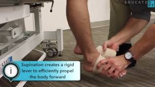 Clinical Pearl  How to Use Ace Wrap in Gait Training for Toe Clearance issues [upl. by Amal]