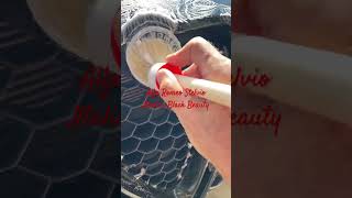 Alfa Romeo Stelvio Iconic Grill Brush detailed [upl. by Symer]