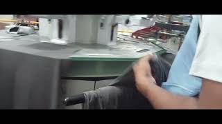 AUTO STICKER LABEL PRINTING MACHINE [upl. by Anawak874]