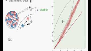 PREU Modular  Radiactividad III Video 3 de 3 [upl. by Nnylorac287]