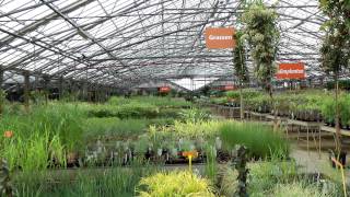 Tuincentrum Het Oosten is groot in tuinplanten [upl. by Macintyre]