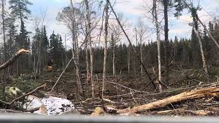 2011 Tigercat 870CNorthern Ontario logging [upl. by Nageam]