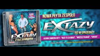 EXTAZY  JEDZIESZ  Love G Remix  Official Audio [upl. by Yggep]