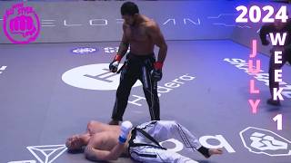 MMA amp Boxing Knockouts I July 2024 Week 1 [upl. by Tirrej]