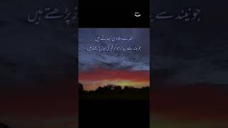 Allah sa Vafa Vohi Nah ata Han islamicshorts arabic arabic islamicvideo [upl. by Campagna205]