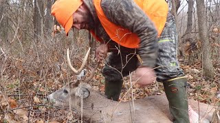 Deer Hunting  Illinois Firearm Season  Public Land  3 Shot Shoot Out [upl. by Anidam316]