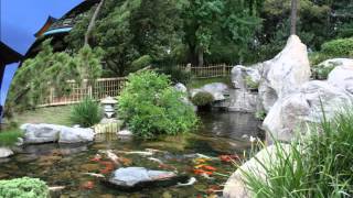 EPCOT  Japan Pavilion Area Music [upl. by Akehsat557]