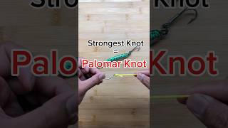 The STRONGEST Fishing Knot  The Palomar Knot shorts fishing [upl. by Larena]