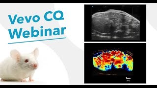 February 2018 ContrastEnhanced Ultrasound Imaging Advanced Data Analysis with Vevo CQ [upl. by Sholom]