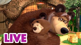 🔴 LIVE 🐻👧 Masha y el Oso 2024 👶❤️🥰 El significado de la familia 🎬 Masha and the Bear [upl. by Enirehs]