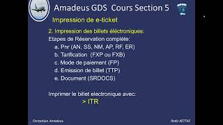 Formation Amadeus GDS Comment Introduire les informations du document de Voyage avec SRDOCS [upl. by Alastair561]