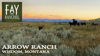 Montana Land For Sale  14982± Acres  Arrow Ranch  Upper Big Hole Valley Near Wisdom MT [upl. by Oinoitna]