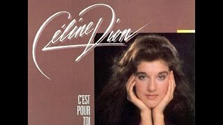 Céline Dion  Dis moi si je taime  ParolesLyrics [upl. by Luelle]