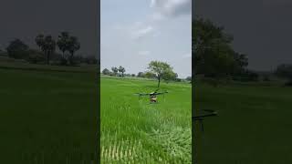 Agriculture Drone spraying  💚🥳 agriculturedronesprayer agriculturelife telanganafarmers [upl. by Novah552]