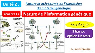 Nature de linformation génétique svt 2 bac pc option français شرح بالداريجة [upl. by Ddahc326]