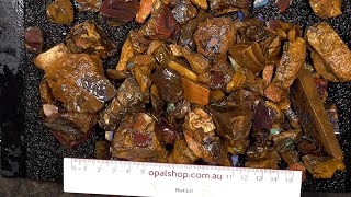 Ro4337  Boulder Opal parcel from Queensland Australia [upl. by Lustick194]