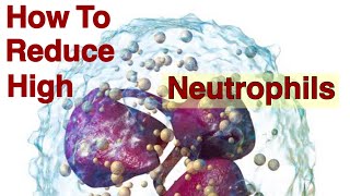 How To Reduce High Neutrophils [upl. by Stockmon290]