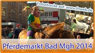 Pferdemarkt in Bad Mergentheim begeistert Tausende  by Fränkische Nachrichten [upl. by Iharas470]