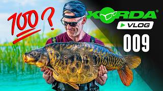 Darrell Peck chases his 100th UK 40lb CARP  Korda Vlog 009 [upl. by Jacquenette]