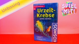 Kosmos Urzeitkrebse selber züchten 659219 Experimentierkasten für Kinder Unboxing  deutsch [upl. by Wendell]