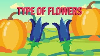 The Diversity and Pollination of Flowers [upl. by Blakelee]