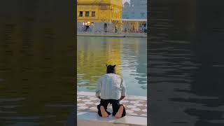 de deo didar songde deo didar ringtonesongsdevotional songsdidarshort shortvideo reelsindia [upl. by Drummond799]