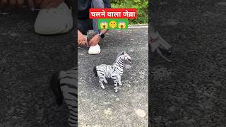 🙃Chalne wala Zebra shorts short youtubeshorts shortsfeed youtubeindia [upl. by Tarrel]