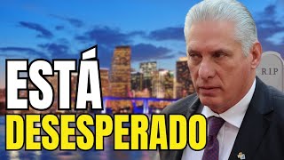 DIAZ CANEL ESTÁ DESATADO la campaña mediática 🤡 [upl. by Sumahs]