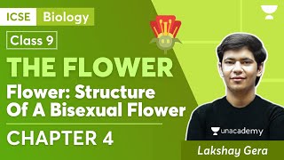 The Flower  Flower Structure Of A Bisexual Flower  ICSE Class 9 Biology Chapter 4  Lakshay Sir [upl. by Particia]