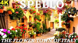 Spello  The flower town of Italy  Italy Walking Tour 4k gopro [upl. by Darra934]