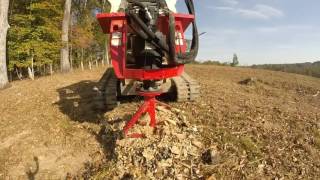 Clevinger Forest Services Demo of the Fecon Stumpex [upl. by Nnaeitak384]