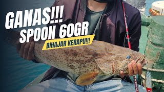 Gak Nyangka Strike Ikan Kerapu Babon Dengan Spoon [upl. by Lauer]