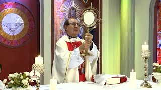 Misa Dominical Y Oración Preside Padre Manuel Rodríguez 10112024 Desde LimaPerú [upl. by Mackey784]