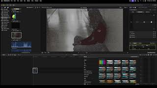 How to use a color mask in Final Cut Pro by juli [upl. by Brechtel476]