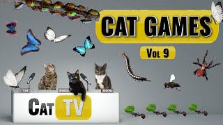 CAT Games  Ultimate Cat TV Bugs and Butterflies Compilation Vol 9 🐝🐞🦋🦗🐜  Videos For Cats to Watch [upl. by Jaynes]