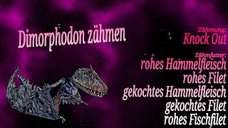 🦕 Dimorphodon zähmen 🦖 Lieblingsbeschäftigung 💕 ARK Ascended [upl. by Nylzzaj]