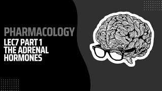 Pharmacology Lec7 part1  Adrenal hormones  صيدلة م4ك2 [upl. by Hymen]