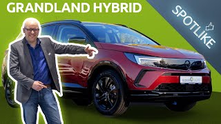 DER OPEL GRANDLAND HYBRID 2022  Der schicke amp effiziente SUV 😍🔋  Bleker Gruppe SPOTLIKE [upl. by Sicard]