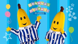 Banana in Pyjamas Season 1 Episode 6  Hide and Seek [upl. by Moneta]