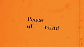 Lontalius  Peace of Mind Official Lyric Video [upl. by Demakis]