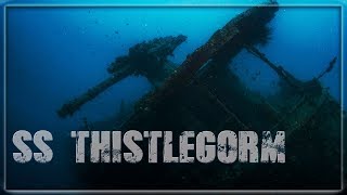 SS Thistlegorm  Wrack aus dem 2 Weltkrieg  abgetaucht [upl. by Elleynad561]