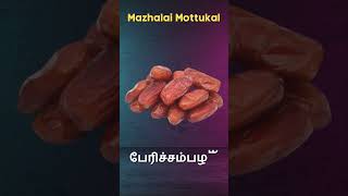 Fruits Name in Tamil shortsvideo insectnamesforkids [upl. by Carree]