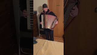 Fismen Lanzinger Accordion  Test for Auction [upl. by Yzzo]