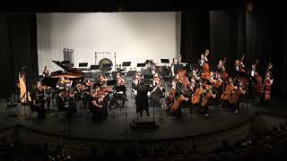 Chronicles Of Narnia Prince Caspian  MHS Chamber Orchestra  2023 Pops Concert [upl. by Akerahs757]