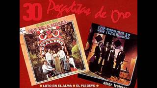 Los Terrícolas 30 Pegaditas de Oro Vol 1 1992 Disco Completo [upl. by Severson]