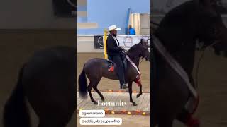 Fortunity de Chapala felicitaciones a su propietario German caballosfinos caballofino [upl. by Attenor]