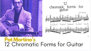 Exploring Pat Martinos 12 Chromatic Forms for the Guitar [upl. by Schmitz]