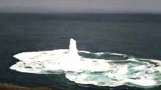 Iceberg collapses off of Signal Hill  North Trail [upl. by Anaugal190]